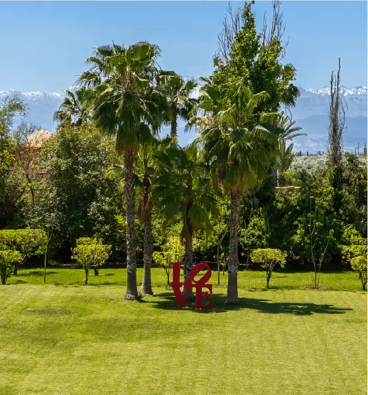 Trees and palm trees in a garden in Rabat