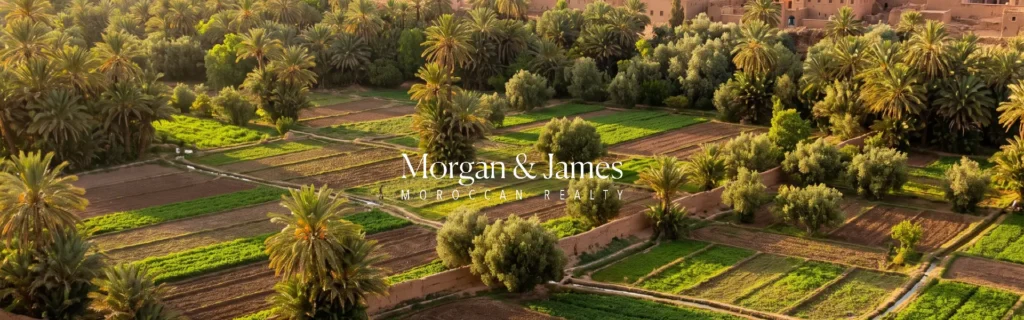 Agricultural land prices in Morocco – palm oasis with cultivated plots near a traditional kasbah