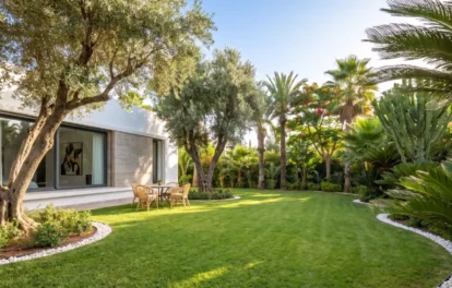 Lush villa garden with mature olive trees, manicured lawn, rattan seating, and tropical planting for sale in Casablanca, Morocco